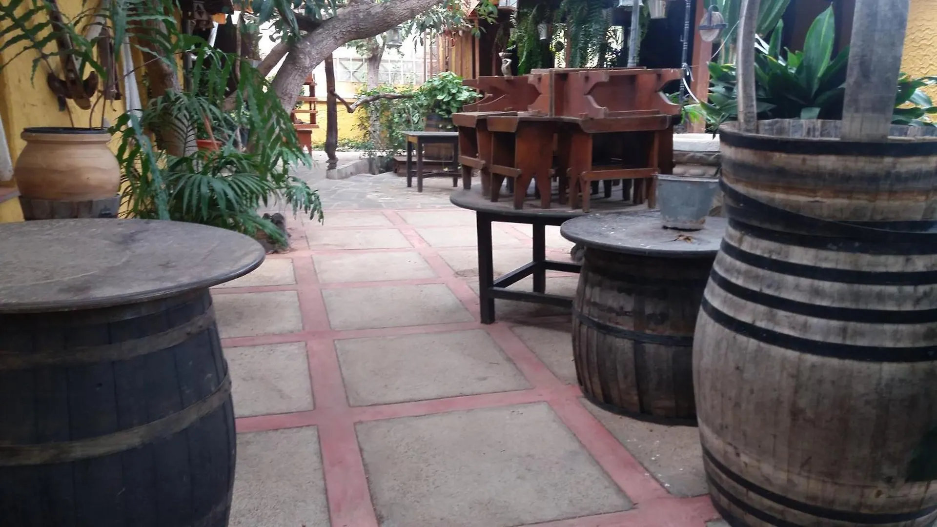 Country house Finca Tasca Ma Lola Guest House Guimar