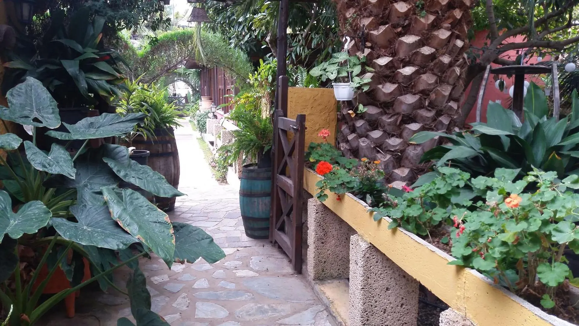 Finca Tasca Ma Lola Guest House Guimar 0*,  Spain