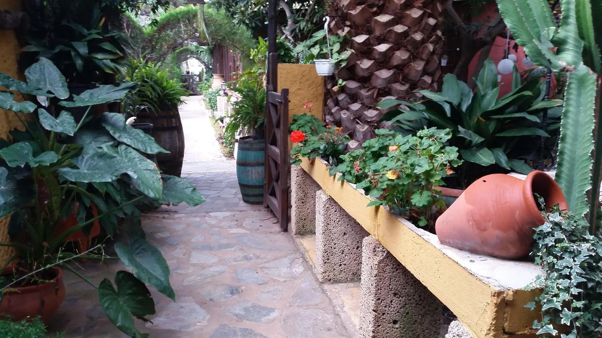 Finca Tasca Ma Lola Guest House Guimar Country house