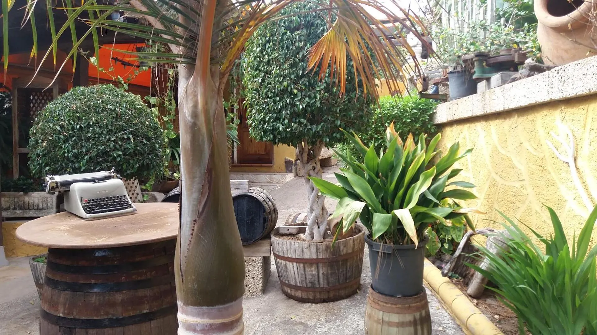 Country house Finca Tasca Ma Lola Guest House Guimar Spain