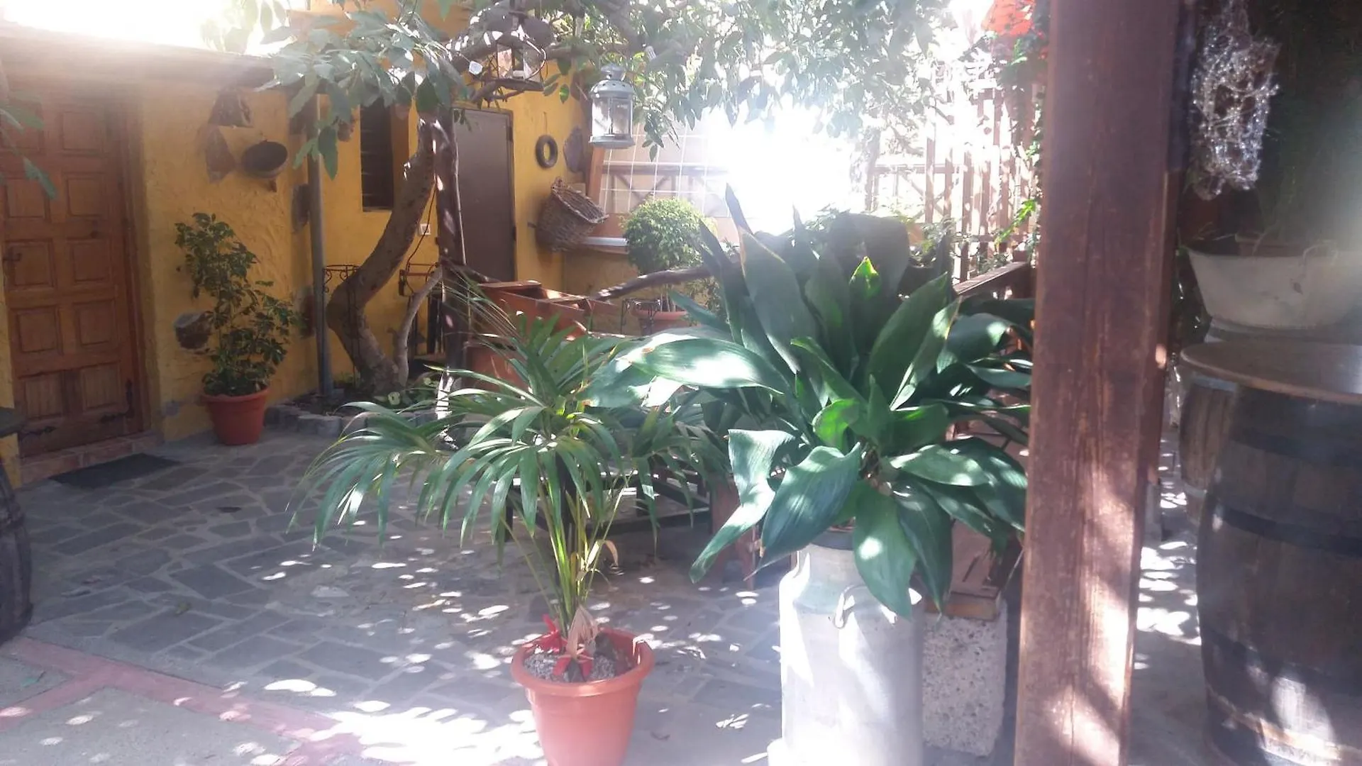 Finca Tasca Ma Lola Guest House Guimar Spain