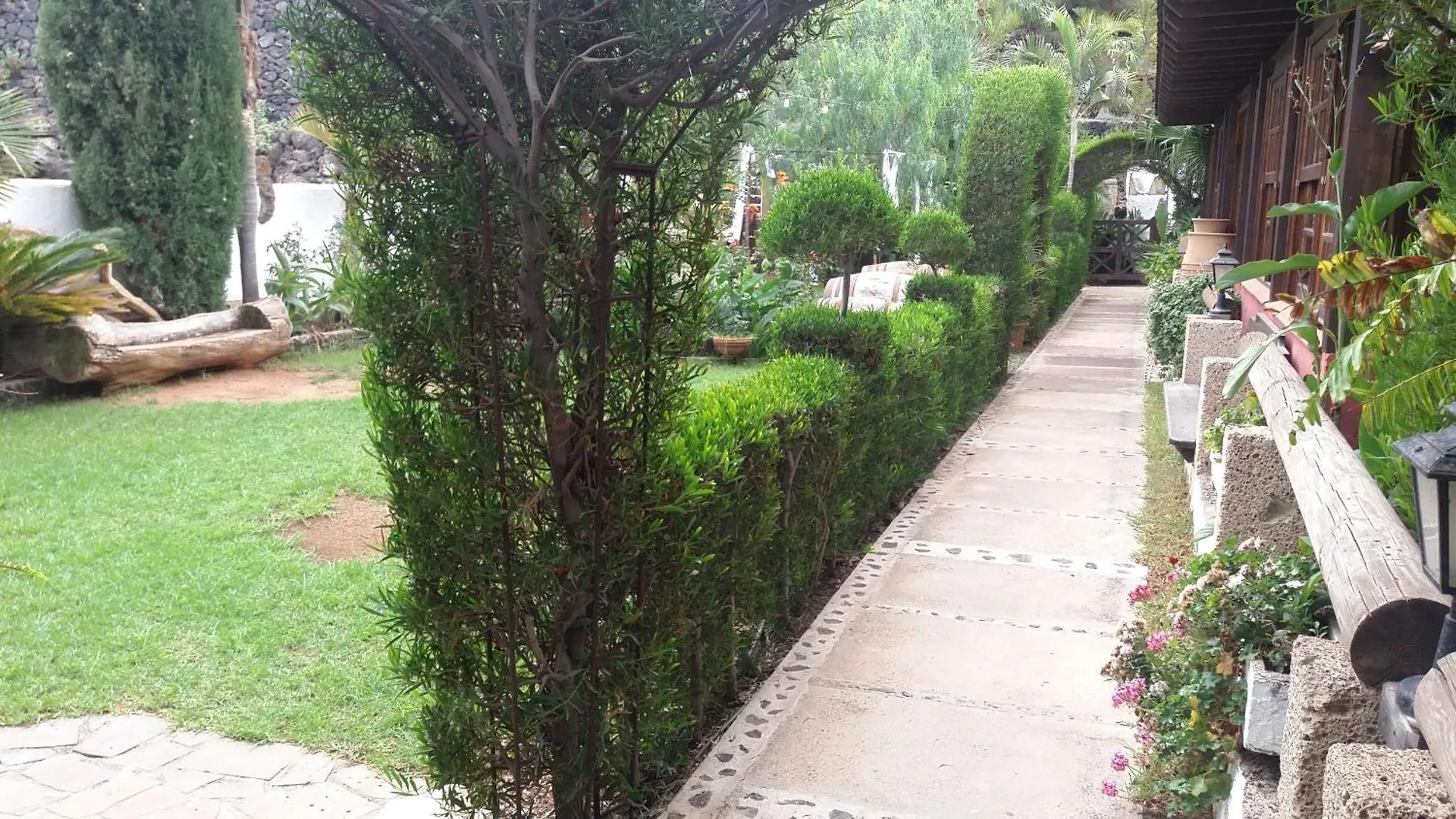 Finca Tasca Ma Lola Guest House Guimar 0*,