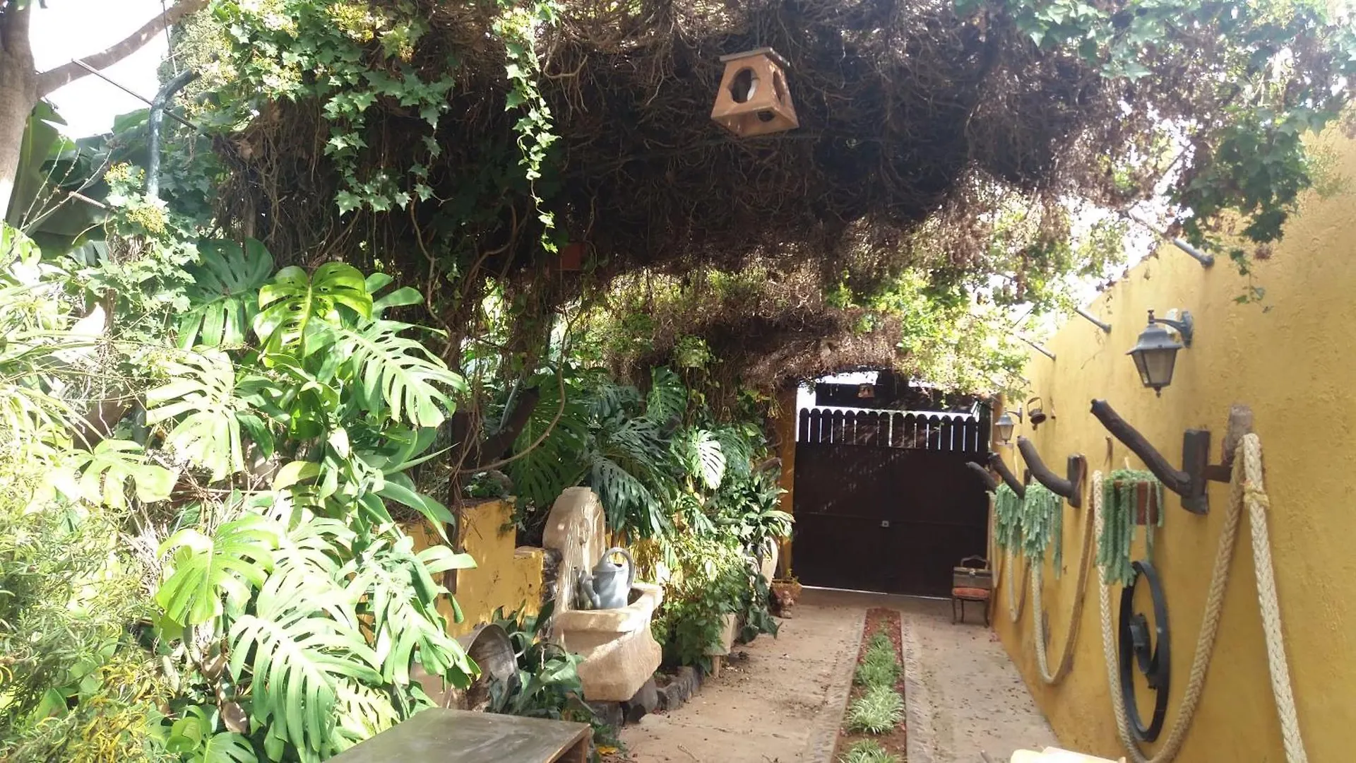 Country house Finca Tasca Ma Lola Guest House Guimar