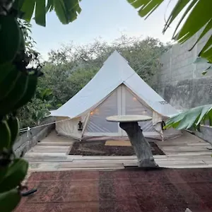 Yurt In Avocado Garden Güimar